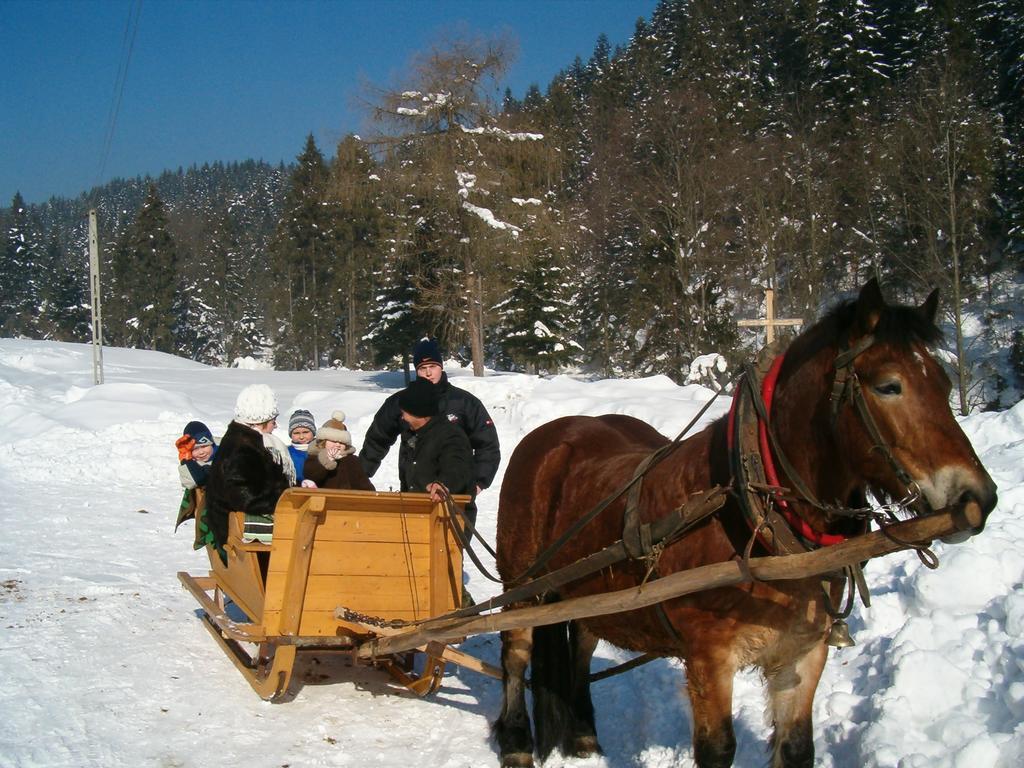 Noclegi "Przy Szlaku" Grywald Buitenkant foto