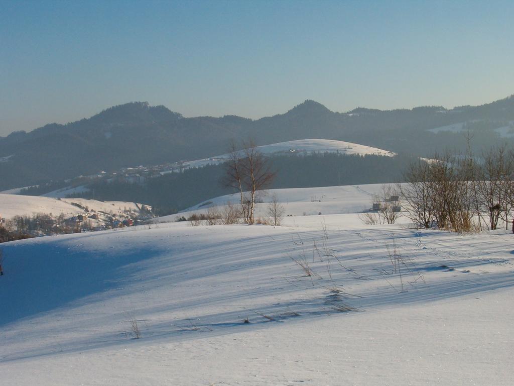 Noclegi "Przy Szlaku" Grywald Buitenkant foto