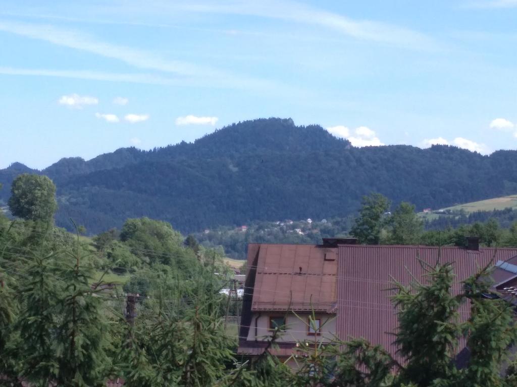 Noclegi "Przy Szlaku" Grywald Buitenkant foto